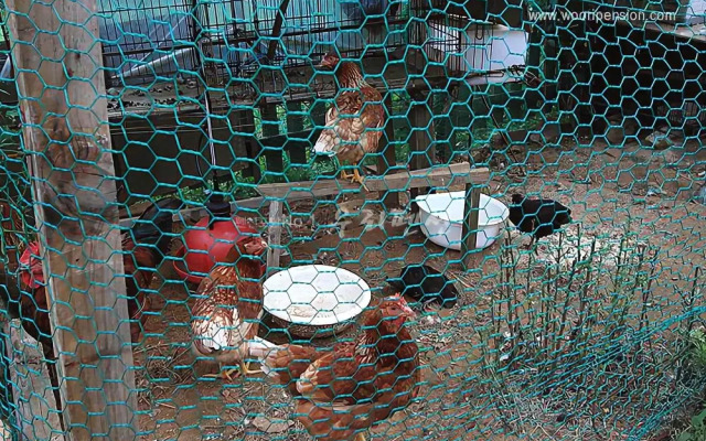 Ganghwadodia Pension