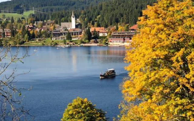 Nature Titisee