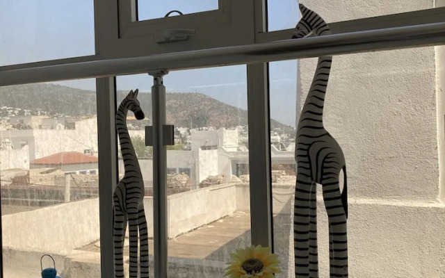 Bodrum Can Pansiyon