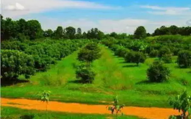 Therdthai Farm Boutique Hotel