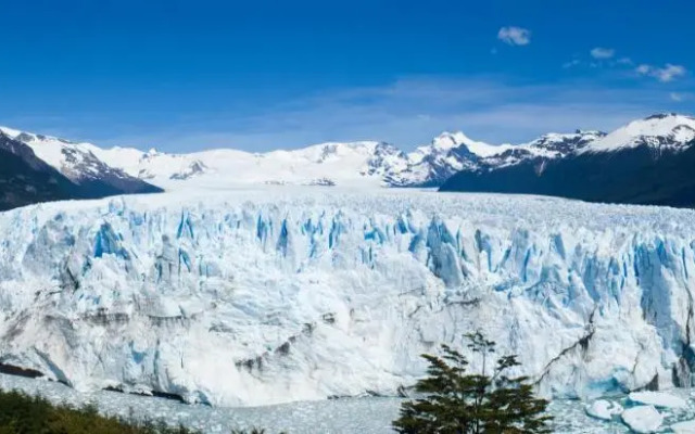 Sent Calafate