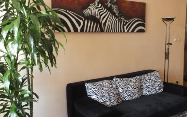 Zebra