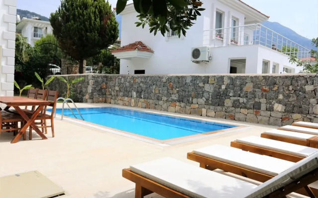 Villa Palm