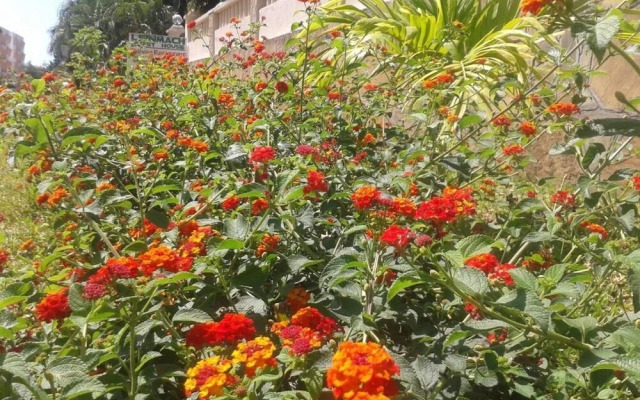 Leinmach House, Nyali