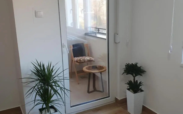 Apartment No 11
