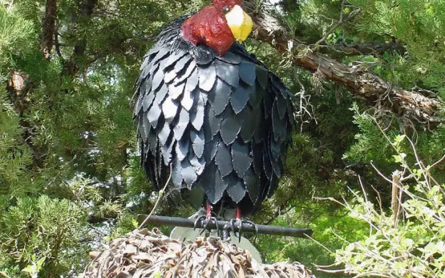Vulture's View Bed and Breakfast