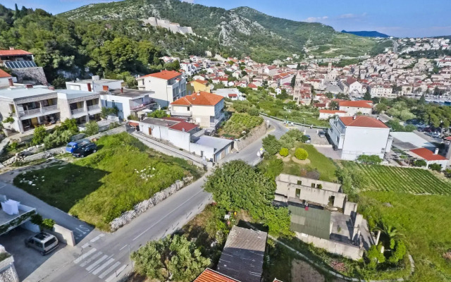 Violeta Hvar