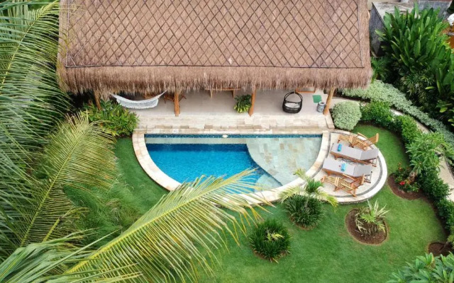 Pazzo Bali