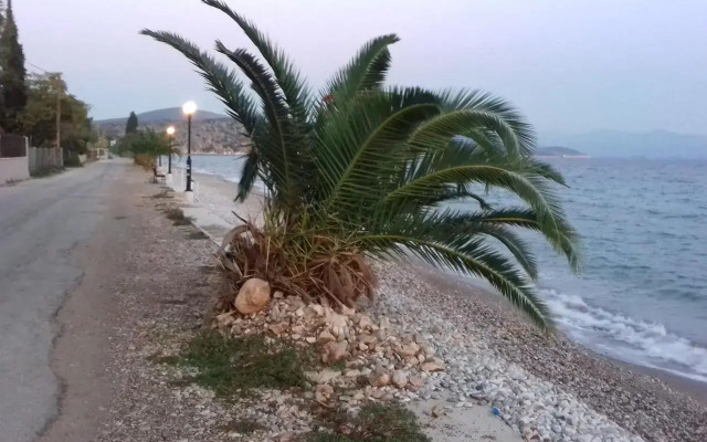 FAMILY HOUSE NEAR THE BEACH DREPANO-NAFPLIo