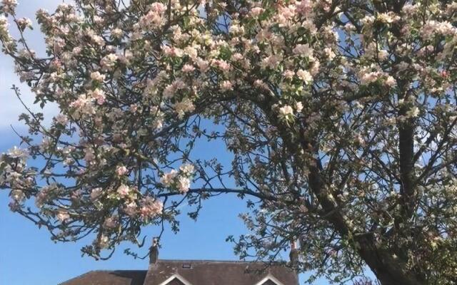 The Moorhead Bed & Breakfast