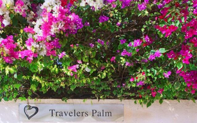 Travelers Palm