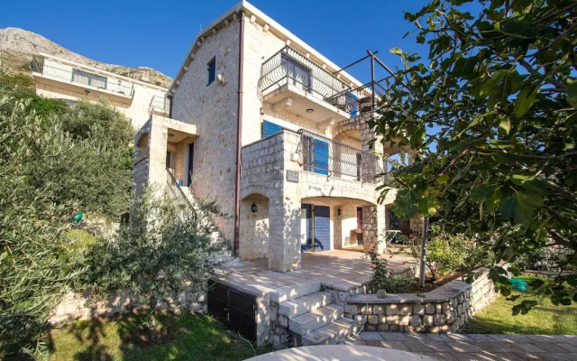 Olive Resort