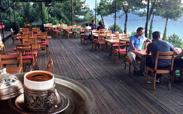 Sakarya Il Ormani Tabiat Parki Konaklama Evleri