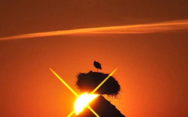 Hotel Restaurant Aux Bruyères