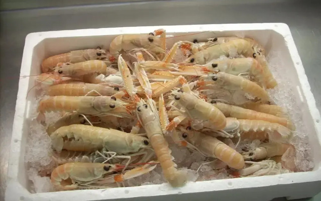 Отель Ai Campi Di Marcello