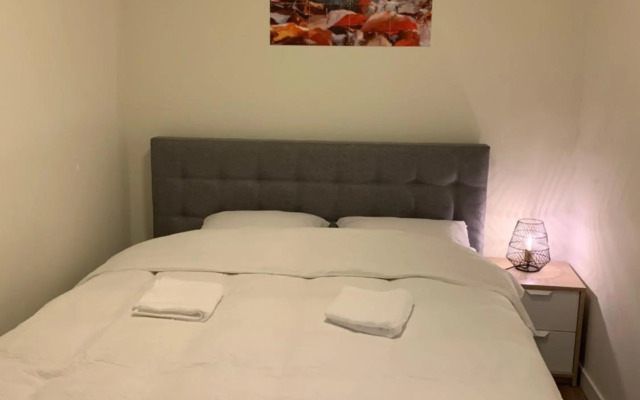 De Spitse Egel: ontdek de pareltjes in de natuur!