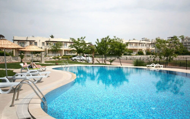 Important Group Turqouise Homes Beryl