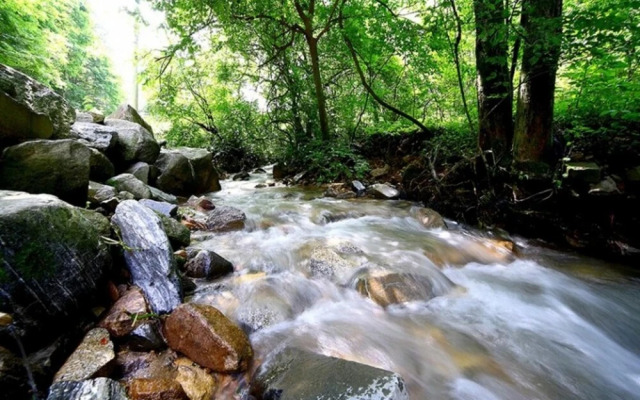 Sancheong Dolkkotdam Pension