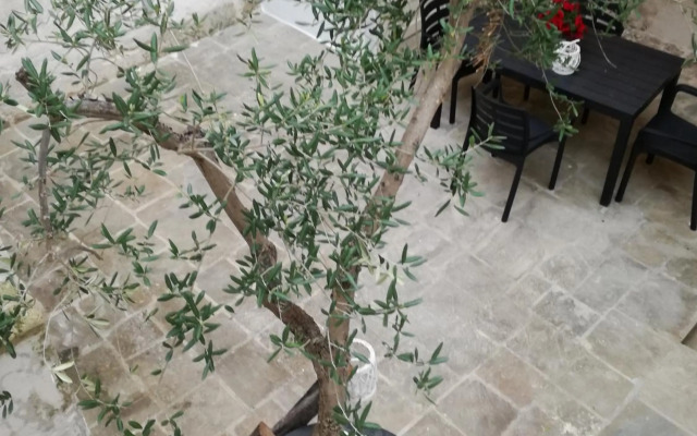 Sassi Sotto Le Stelle