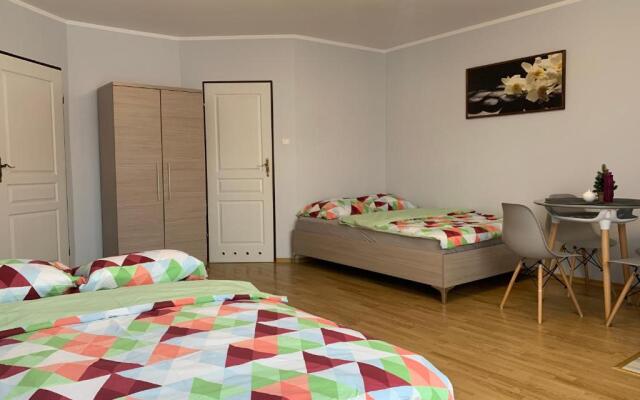 Pokoje gościnne Pod Lwami