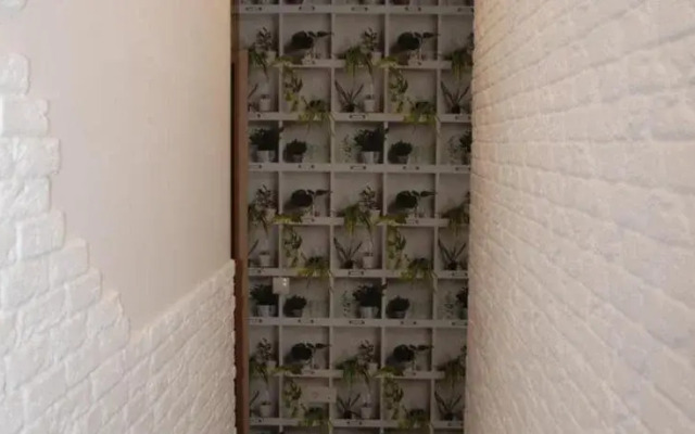 Green Apple Hostel