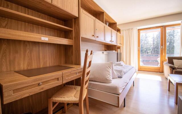 Rehwiesa B24, Studio with balcony