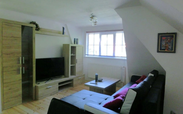 Adorable Aparment in Wildemann With Parking