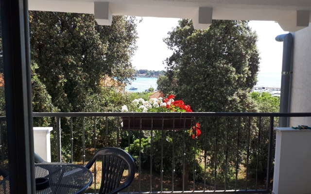 Apartment Mari - 100 m from beach: A2 Petrcane, Zadar riviera