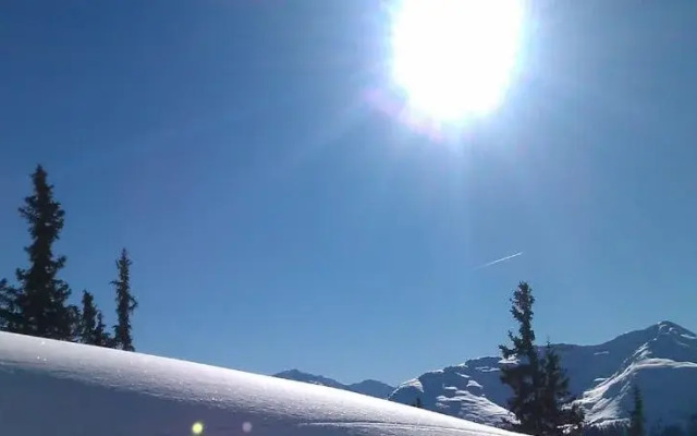 Chalet Eisenspitze
