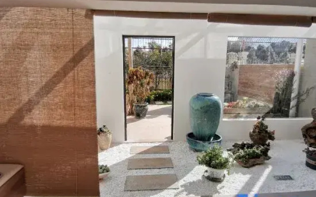 Pig Pig • Shiguang Inn