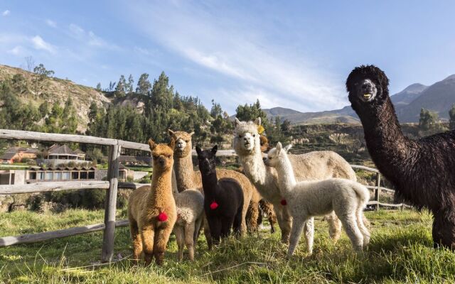 Colca Lodge Spa & Hot Springs