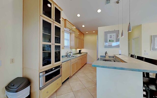 Lazy Urchin Seaclusion