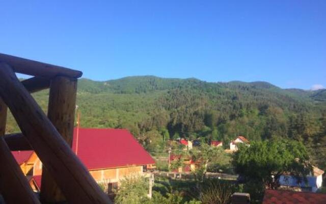 Casa de Vacanta Neagu