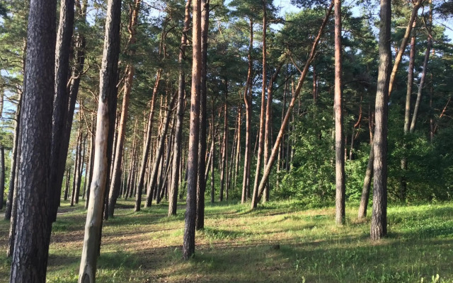 Pirita Beach Apartments & SPA