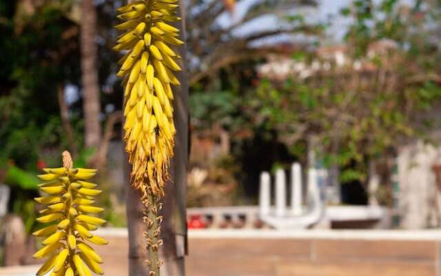 Jardim Secreto Guest House - Hostel