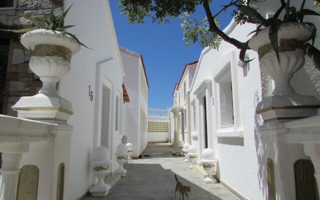 Castellino Studios