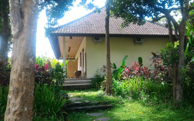 Artawa House
