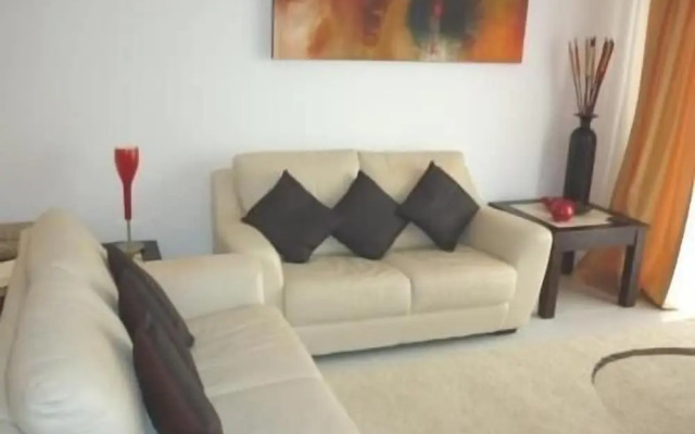 Luxury Penthouse E302