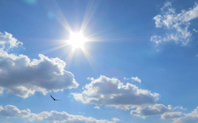 Kissimmee Area Pool Homes by Sunny OVH