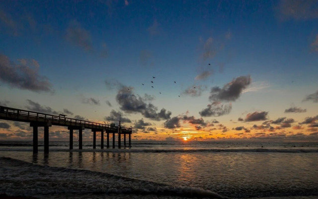 Ocean 11 - 2 Br Condo