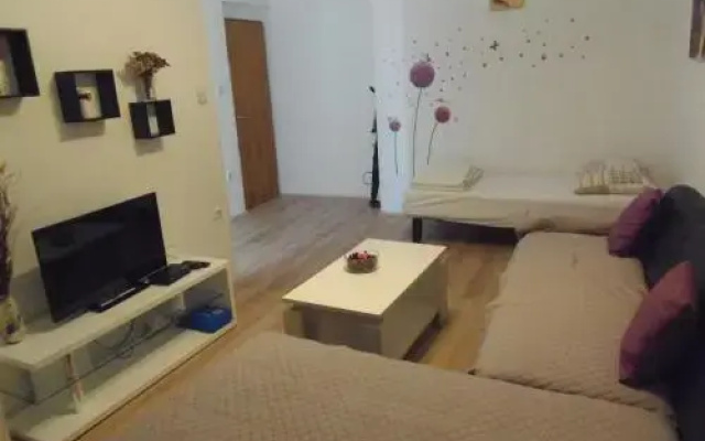 Apartments Danka