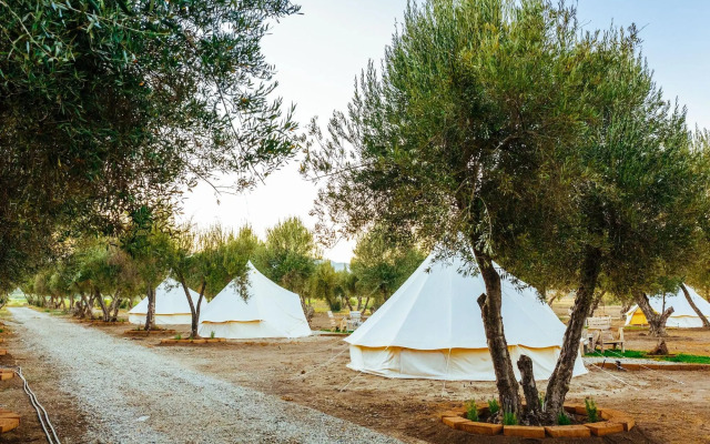 Guadalupe Valle Glamping