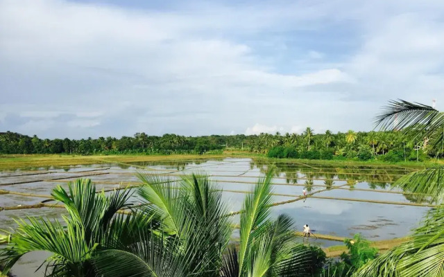 Paddy House Villa
