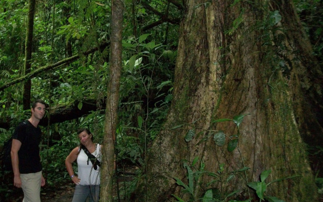 Blue River Resort & Hot Springs