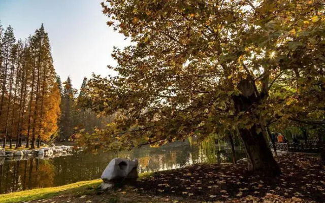7 Days Premium·Qingdao Railway Station