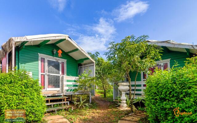 Mango Forest Agro Tourism Resort