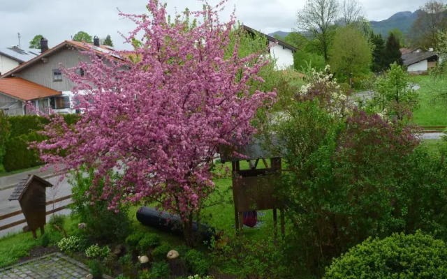 Apartments Donebauer