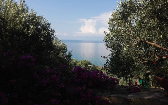 Residenza Golfo Degli Ulivi