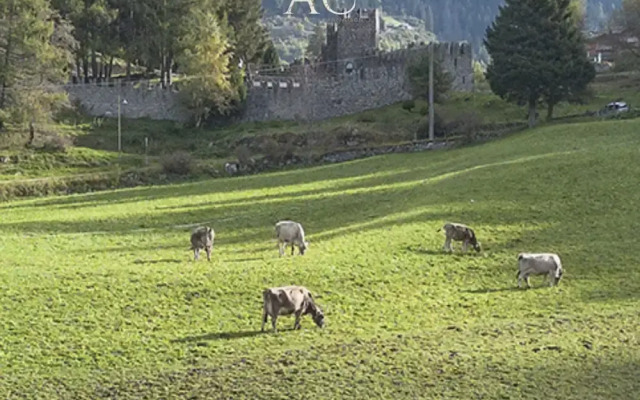 Sesto Senso in Ponte di Legno