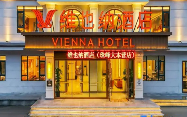 Vienna Hotel (Dingri Basong Village Branch) — 3-star hotel in Tingri